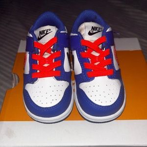 Toddler Dunks 5C